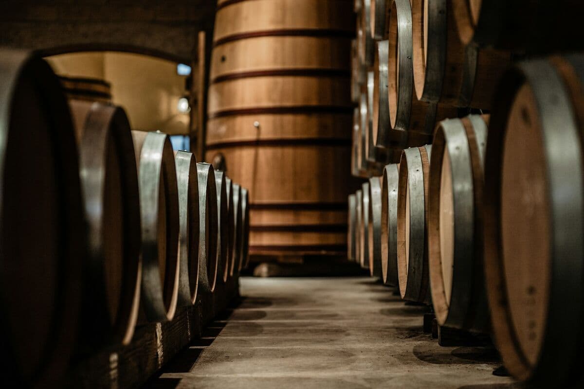 Rows of wooden casks stacked in a dim warehouse