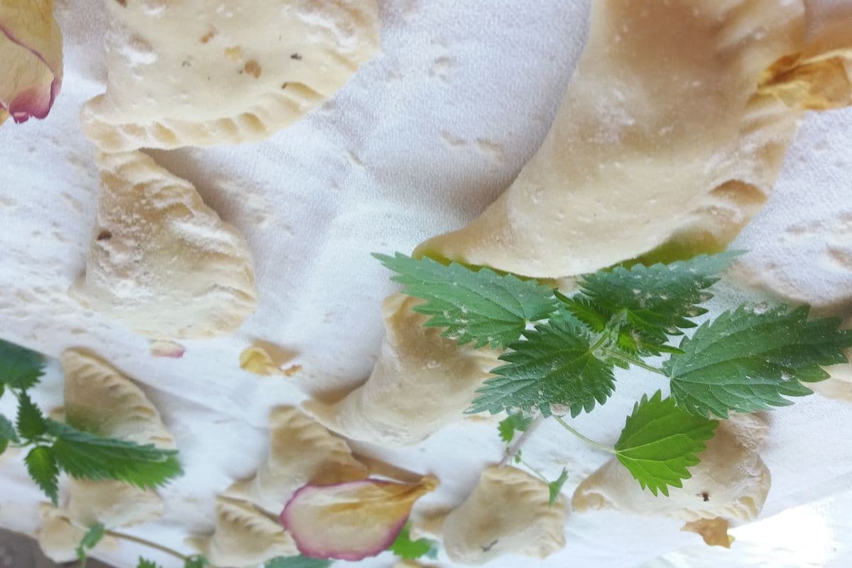 A plate of pierogi ruskie dumplings