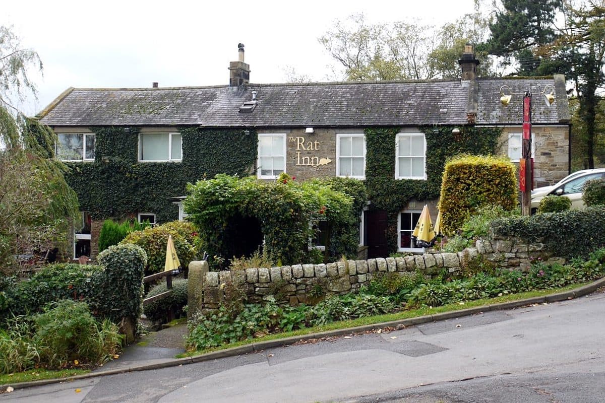 The ivy-covered Rat Inn at Anick, Northumberland, with its front garden