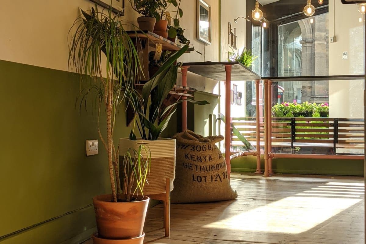 Pink Lane Coffee, Pink Lane, City Centre